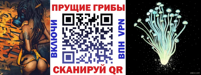 Псилоцибиновые грибы прущие грибы  Купить закладки  Урюпинск 